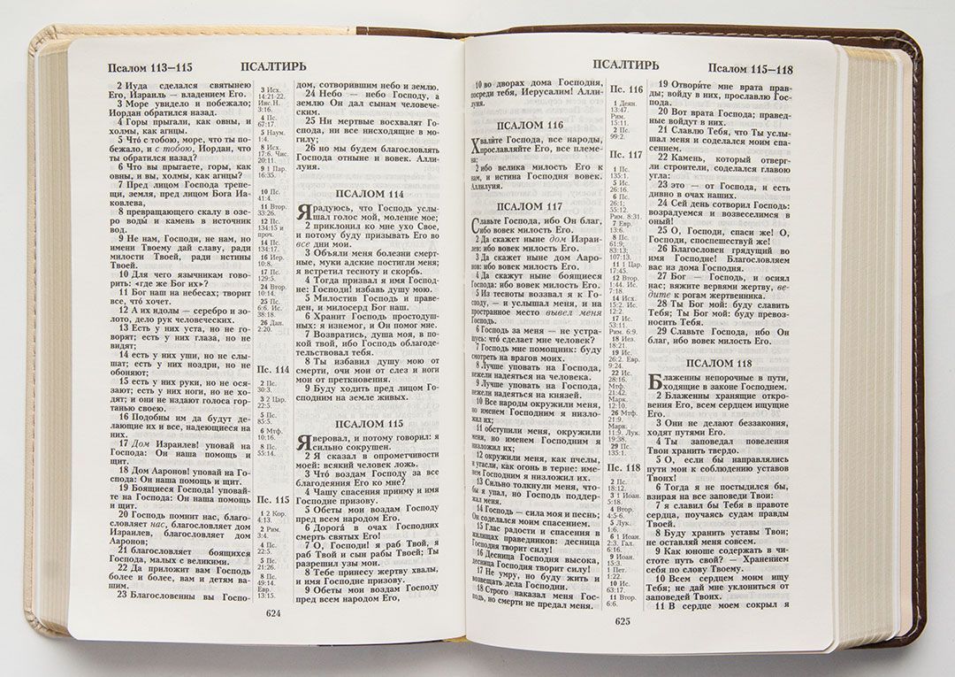 Библия 046 формат (оформление колос, цвет  светлокоричневый-персиковый, переплет из термовинила, золотые страницы, размер 130*180 мм)