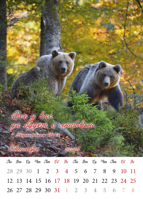 Календарь перекидной на пружине 12 страницах на 2026 год  формат А3+, 34*50 (большой) "Семейный очаг" о бескоротсной любви