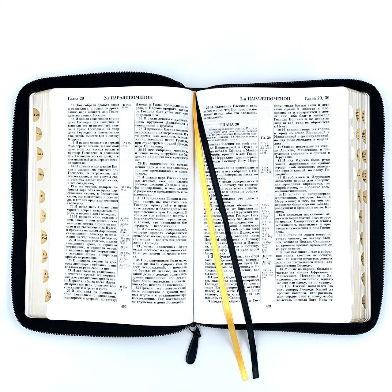 Библия 076zti код 23076-5,  дизайн золотой лев, кожаный переплет на молнии с индексами, цвет черный пятнистый, размер 180x243 мм
