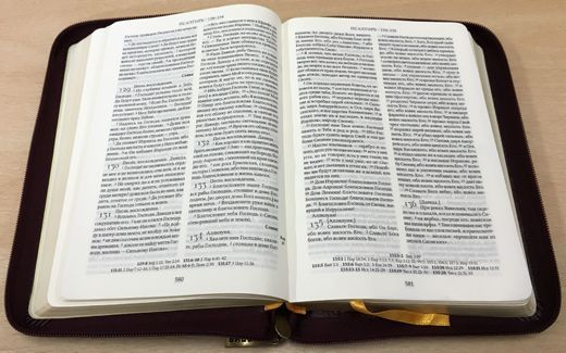 Библия 047DСZ с неканоческими книгами Ветхого Завета, цвет вишня, кожаный переплет на молнии, средний формат, 135*170 мм, золотой обрез, код 1138