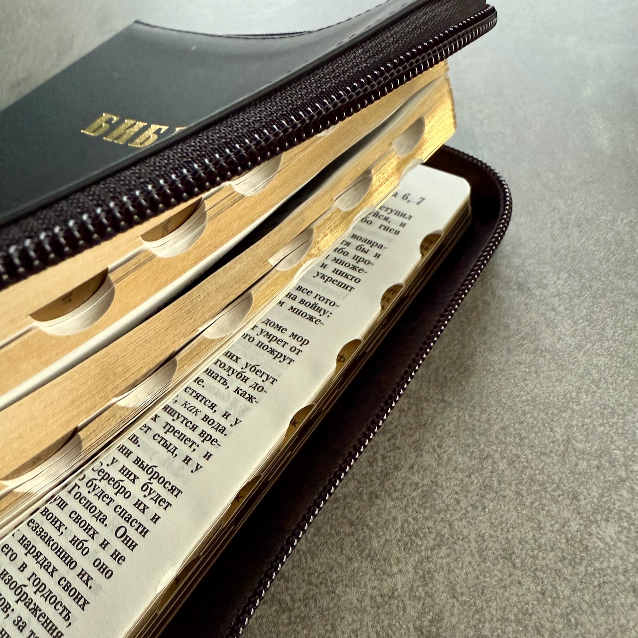 Библия 055zti код 25055-1 дизайн "руки молящегося", кожаный переплет на молнии с индексами, цвет черный с прожилками, средний формат, 143*220 мм