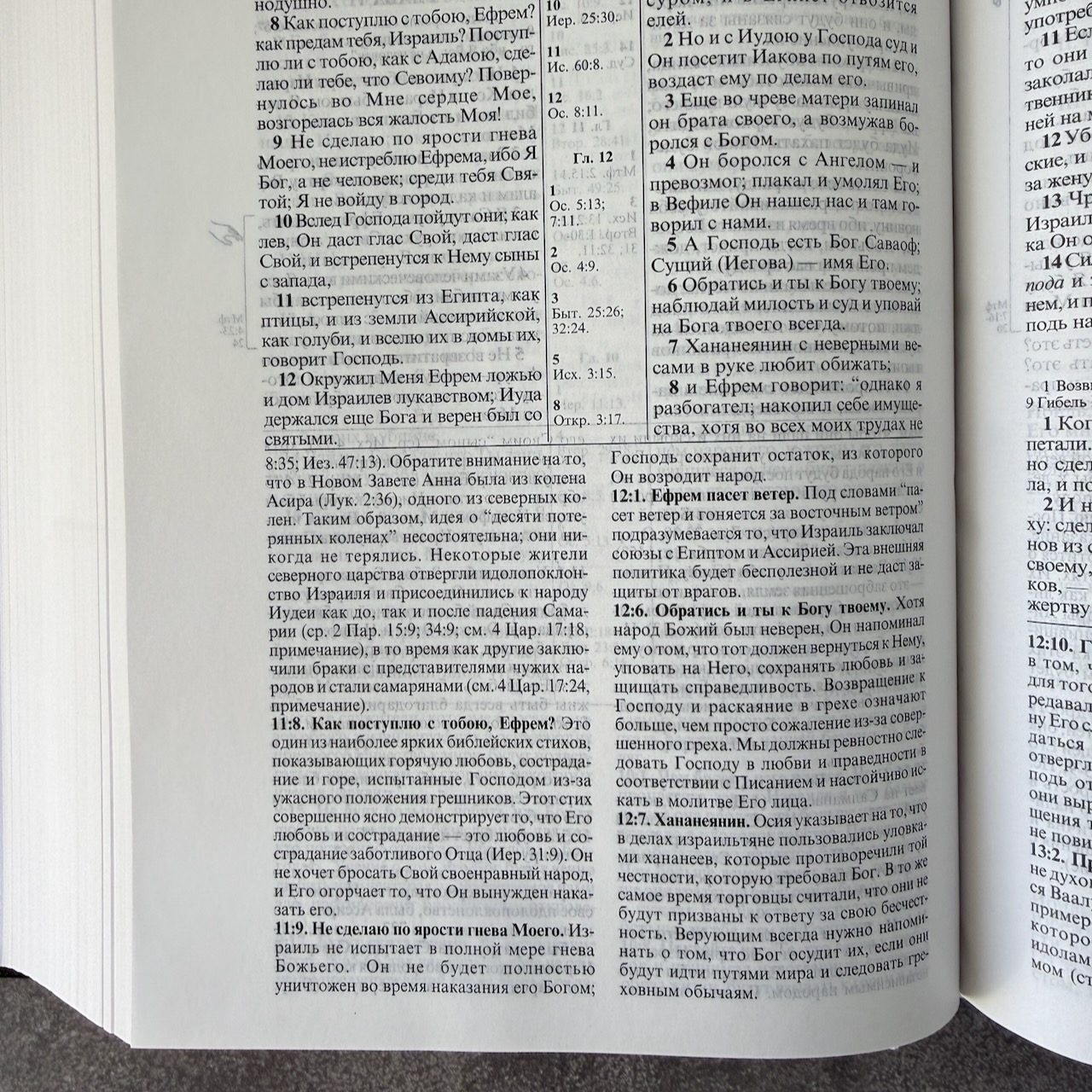 Библия с комментариями "Полноценная жизнь" 065TI, код 25065-15, кожаный переплет, две закладки, цвет темно-коричневый фактурный, цветные карты