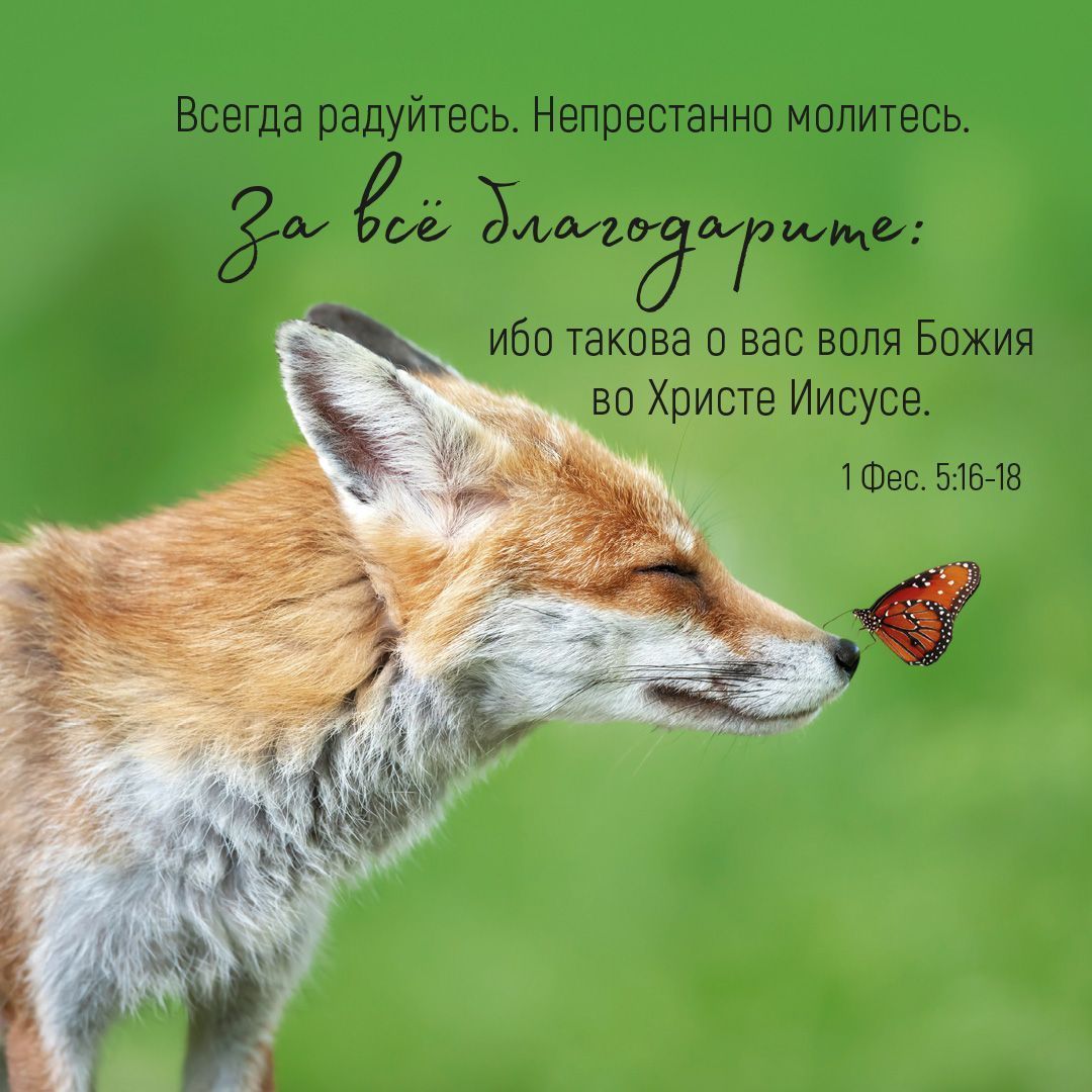 Календарь перекидной на скрепке на 14 страницах на 2027 год 30*30 см (большой) "Мудрость Божьего творения"