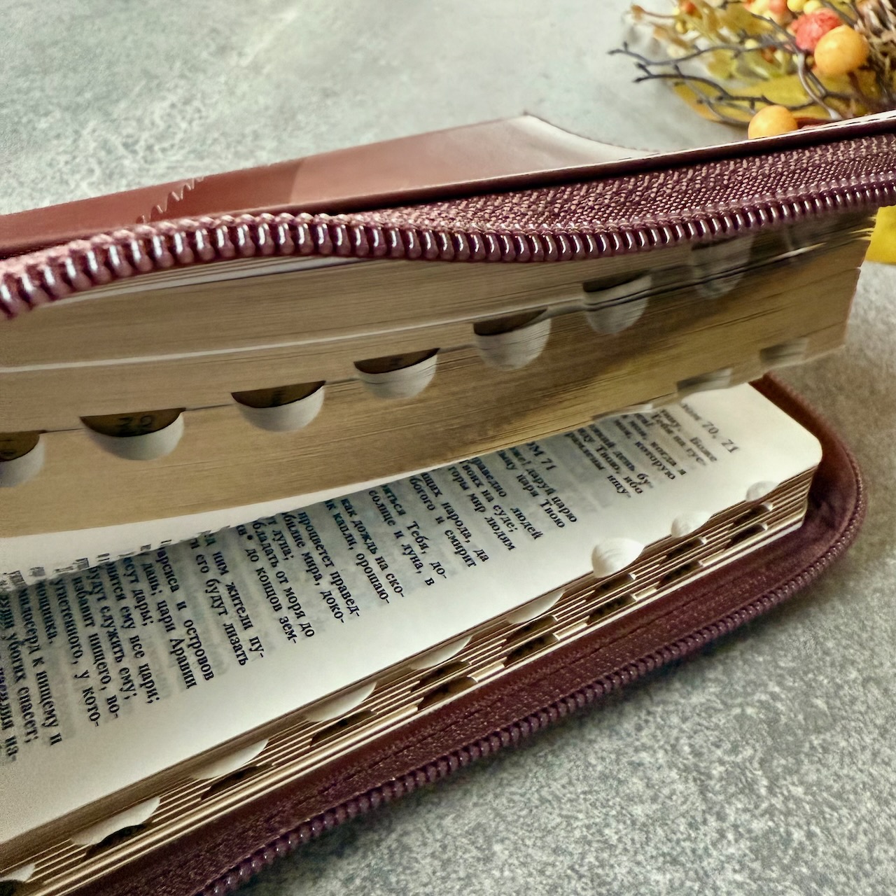 Библия 048 zti код 25048-23  дизайн "термо штамп голубь", кожаный переплет на молнии с индексами, цвет коричневый, формат 125*195 мм