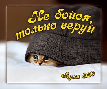 Открытка маленькая №267 - Не бойся, только веруй.