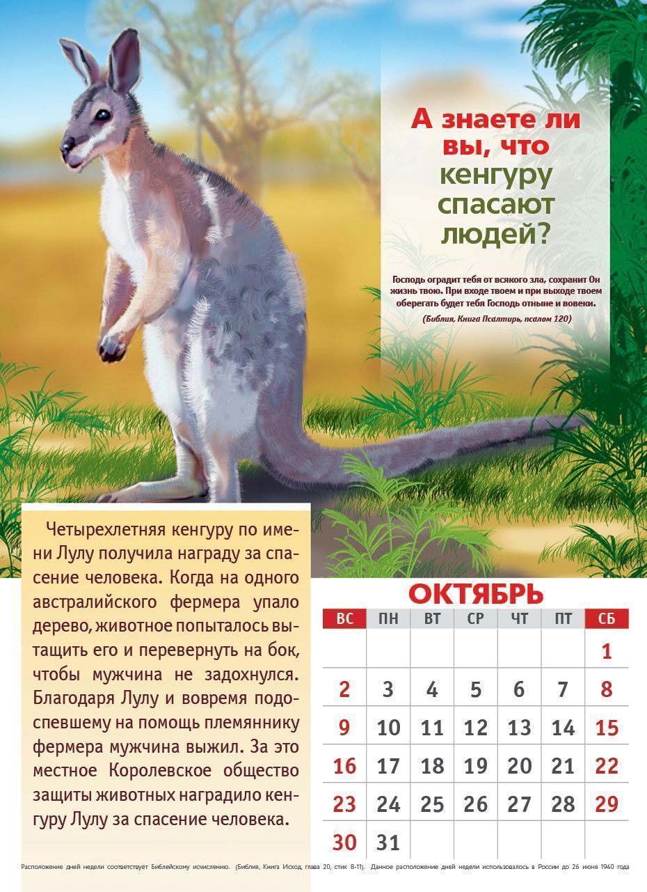Календарь перекидной на пружине 12 страницах на 2022 год 25*35 (малый) "Ребятам о зверятах" код 520304