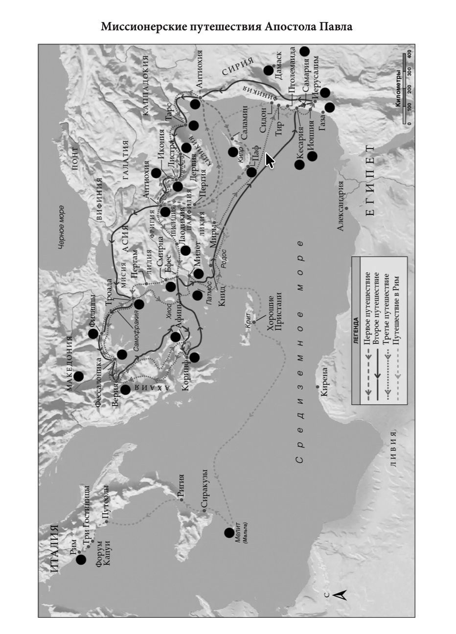 Библия 055 код 26055-47 термо штамп "терновый венец", переплет из эко кожи, цвет светло-серый, средний формат, 143*220 мм