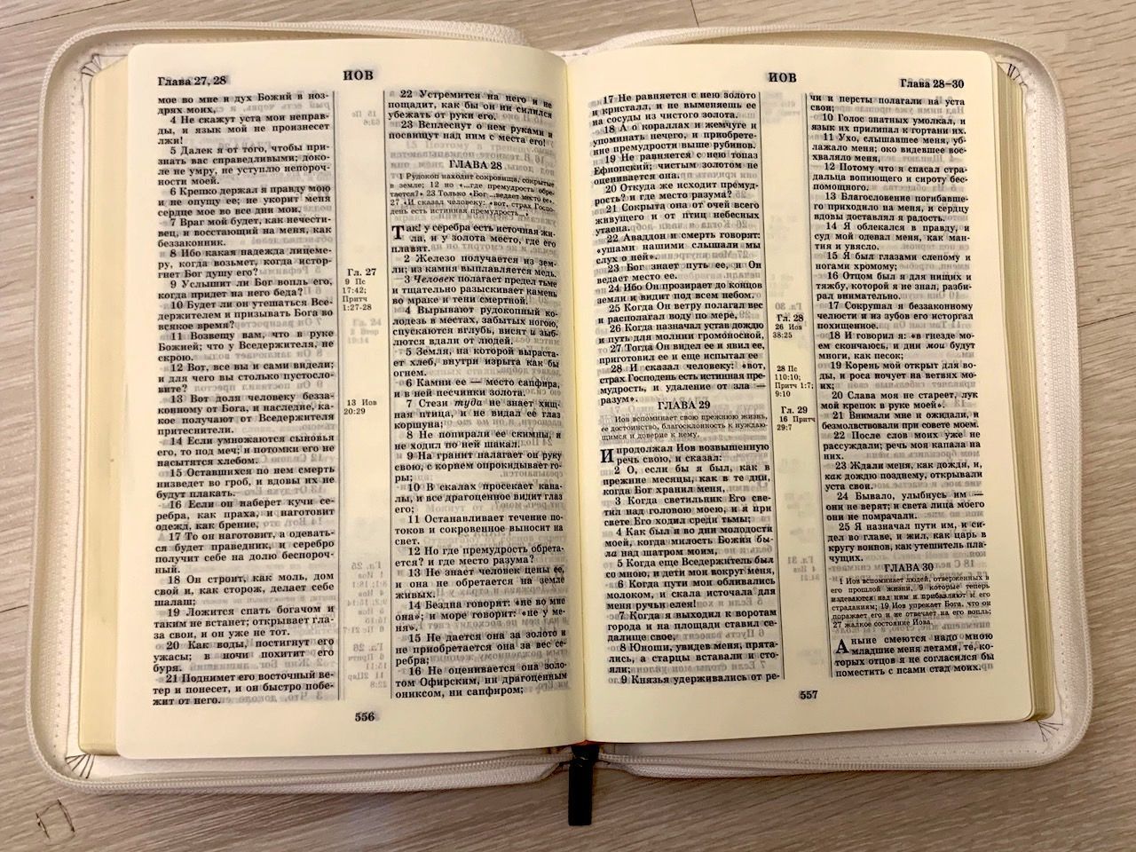 Библия 077z кожаный переплет с молнией, цвет белый, золотые страницы, большой формат, 170х240 мм, код 1370
