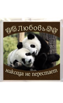 Пластиковый магнит-квадрат 6 х 6 см - "Любовь никогда не перестает" панды