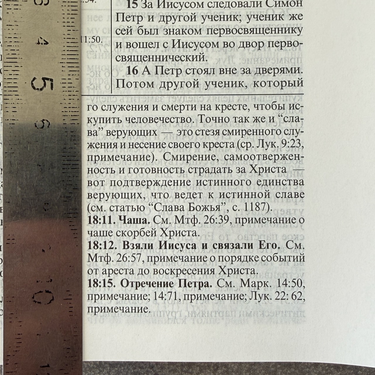 Библия с комментариями "Полноценная жизнь" 065TI, код 25065-11, кожаный переплет, две закладки, цвет коричневый с оттенком бордо с прожилками, цветные карты