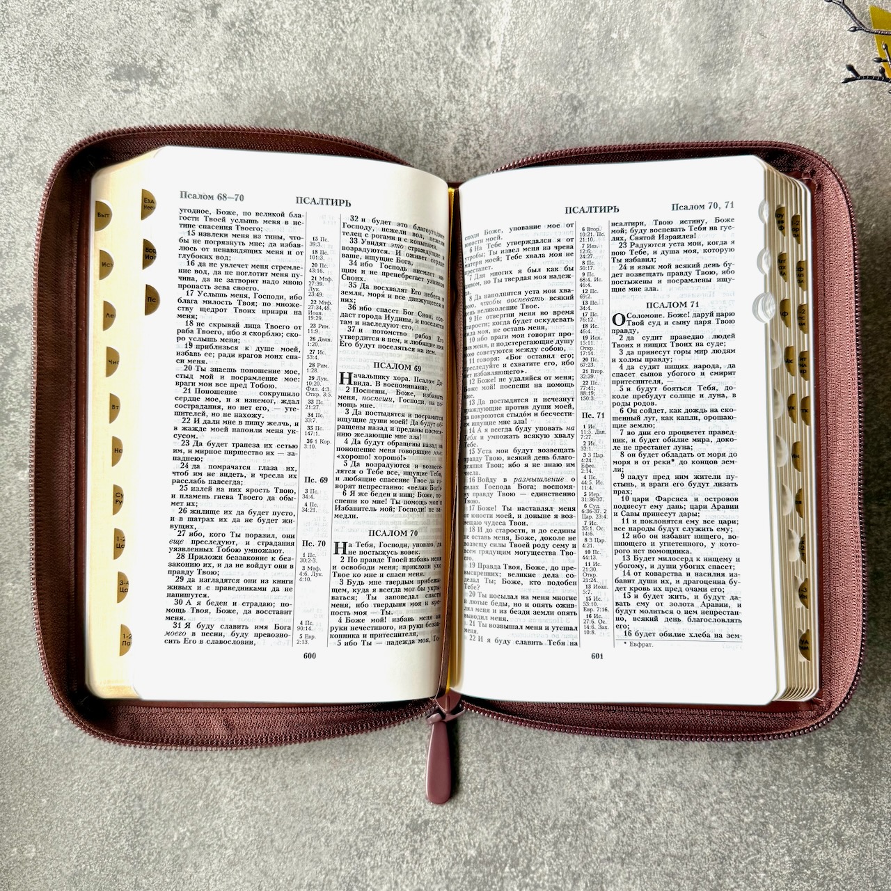 Библия 048 zti код 25048-23  дизайн "термо штамп голубь", кожаный переплет на молнии с индексами, цвет коричневый, формат 125*195 мм