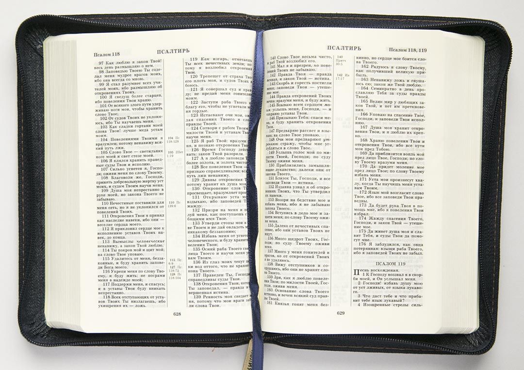 БИБЛИЯ (045JZ, код 1176, джин. переплет с молнией и вышивкой)