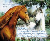 Открытка маленькая №038 - Любовь все покрывает, всему верит, всего надеется, все переносит. Любовь никогда не перестает. (лошади)