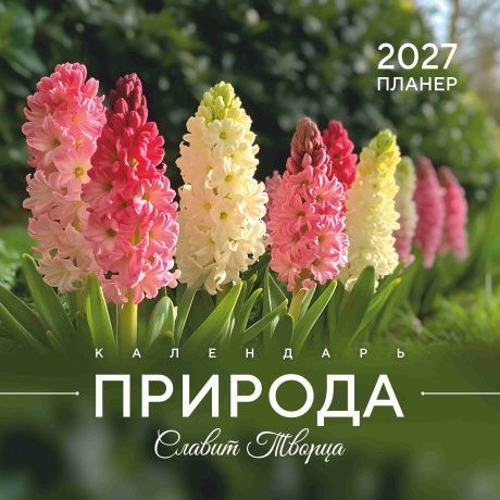 Календарь перекидной на скобе "Природа славит Творца"  на 29*29 см на 2027 (планер) на 12 листах