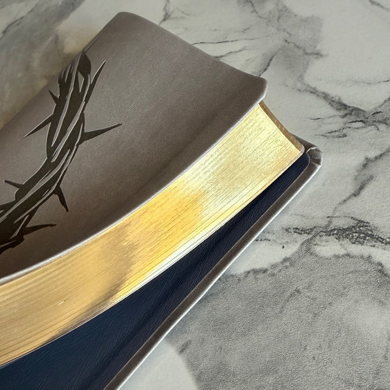 Библия 055 код 26055-47 термо штамп "терновый венец", переплет из эко кожи, цвет светло-серый, средний формат, 143*220 мм