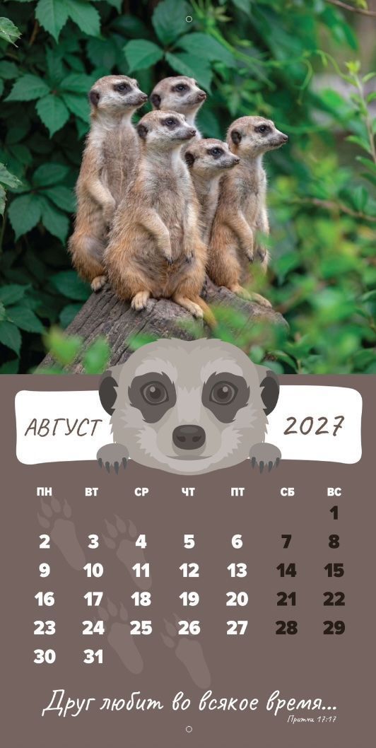 Календарь перекидной на скобе Детский "Забавные животные" (изображение зверей и цитаты из библии)  на 29*29 см на 2027 на 12 листах