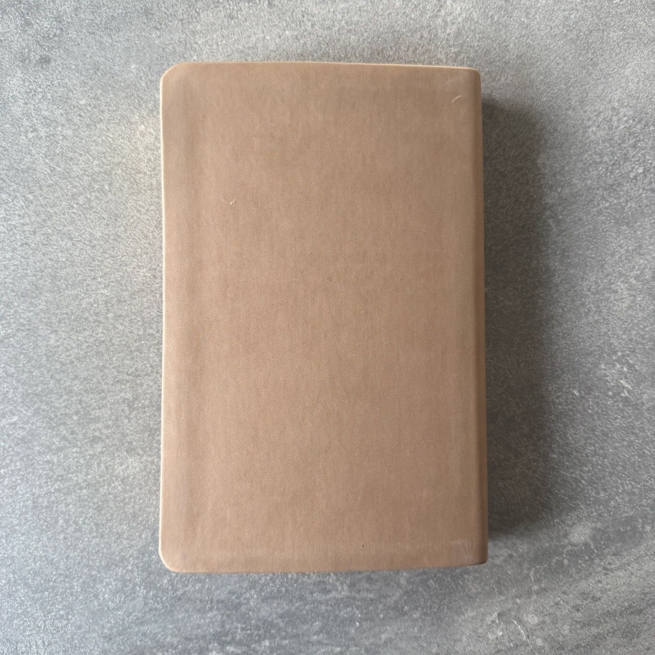 Дисконт небольшой надрыв страницы, 28 глава Бытия. Библия 055 код 25055-55 термо штамп "терновый венец", переплет из эко кожи, цвет серо-бежевый, средний формат, 143*220 мм