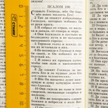 Библия 077z кожаный переплет с молнией, цвет черный, золотые страницы, большой формат, 170х240 мм, код 1197