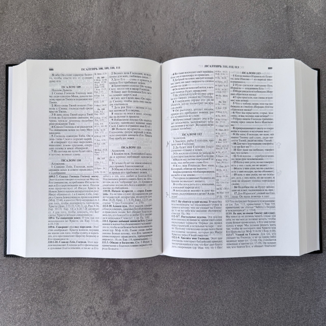 Библия с комментариями "Полноценная жизнь" 065, код 25065-5, твердый переплет, две закладки, цвет темно-коричневый с отттенком бордо, цветные карты