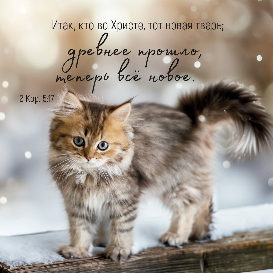 Календарь перекидной на скрепке на 14 страницах на 2027 год 30*30 см (большой) "Мудрость Божьего творения"