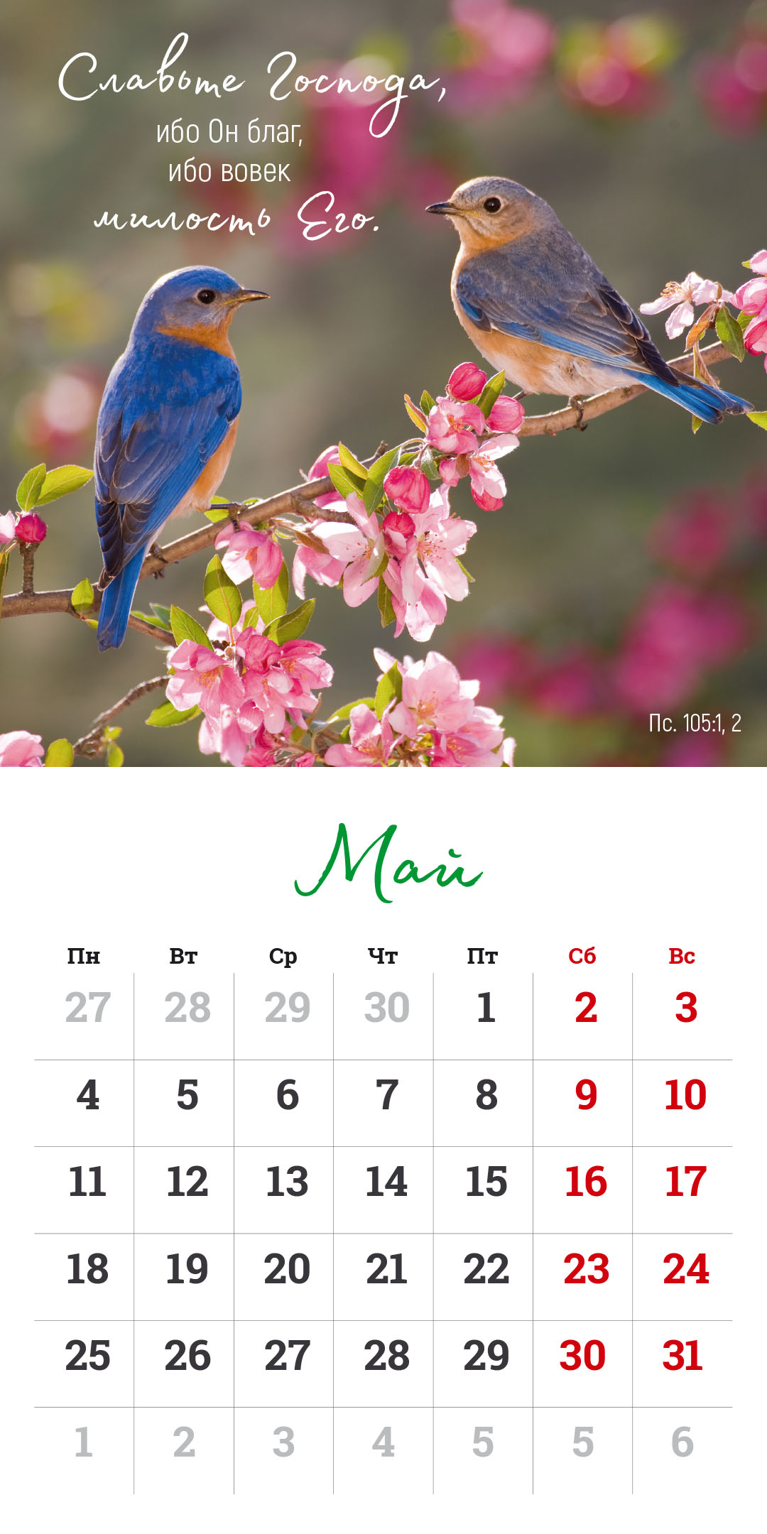 Календарь перекидной на скрепке на 14 страницах на 2026 год 30*30 см (большой) "Мудрость Божьего творения"