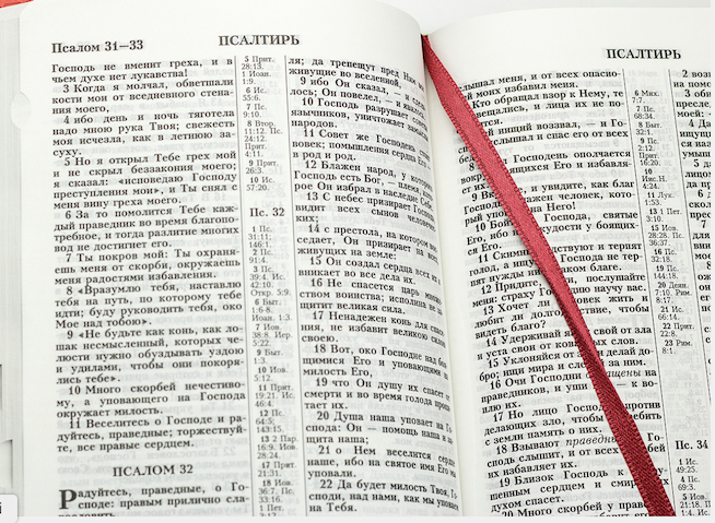 Библия 055 DT переплет из термовинила , цвет салатовый/красный и надпись "Библия" термо вставка из цветов, средний формат, 140*215 мм, парал. места по центру страницы, белые страницы, крупный шрифт