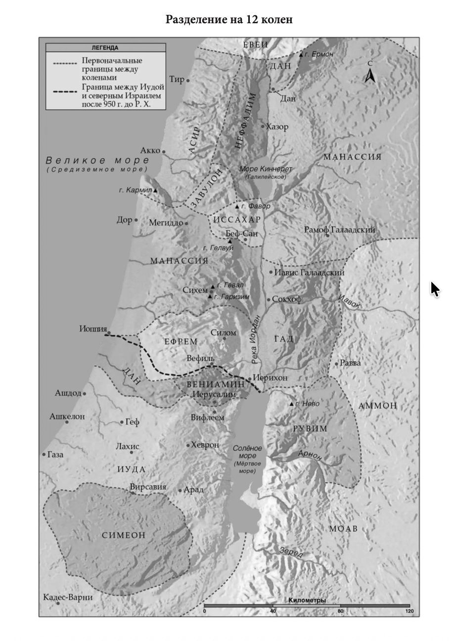 Библия 055zti код 26055-18 термо штамп "терновый венец", переплет из эко кожи на молнии с индексами, цвет серый, средний формат, 143*220 мм