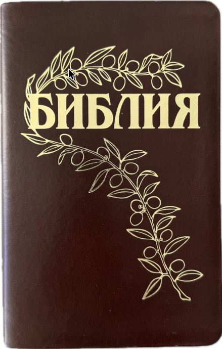 Библия Геце 057, код 25057-24, цвет темно-коричневый гладкий, переплет из премиальной натуральной кожи, золотой обрез, две закладки, цветные карты, приложение Библейский спутник, размер 140*216 мм
