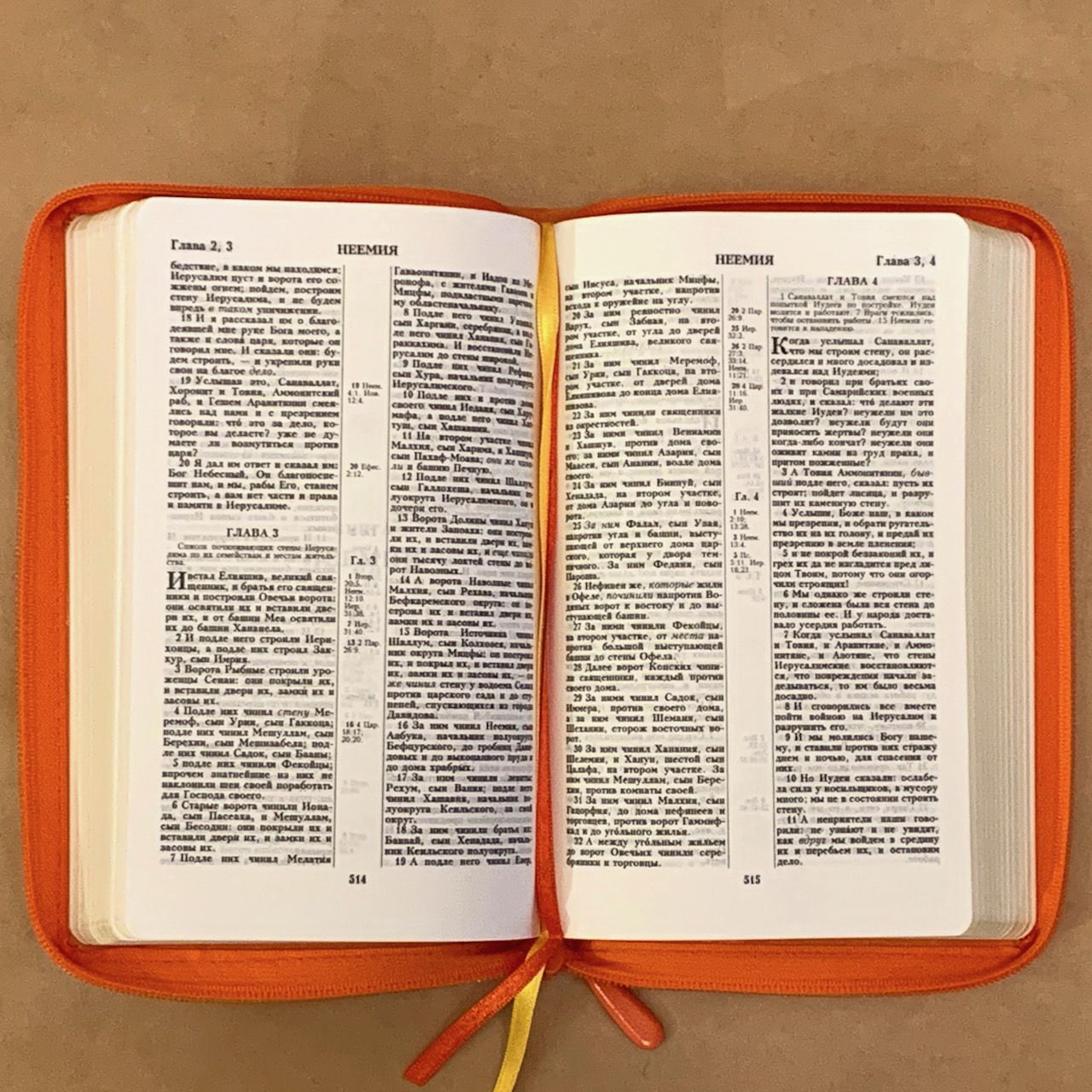 Библия 055z код H2 7076 переплет из натуральной кожи на молнии, цвет оранжевый с фактурой, дизайн голубь с веточкой термо-печать, средний формат, 143*220 мм, параллельные места по центру страницы, золотой обрез, крупный шрифт