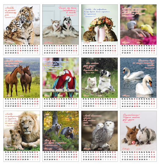 Календарь перекидной на пружине 12 страницах на 2026 год  формат А3+, 34*50 (большой) "Семейный очаг" о бескоротсной любви