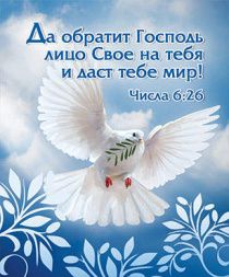 Открытка маленькая №060 - Да обратит Господь лицо Свое на тебя и даст мир! (голубь)
